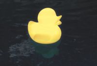 LED Ducky