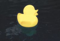 LED Ducky